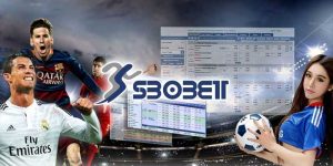 SBOBET 79King – Nền Tảng Cá Cược Thể Thao Hàng Đầu Châu Á