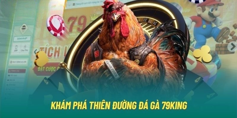 Đá Gà Nòi - Sân Chơi Cá Cược Kiếm Tiền Thật Tại 79KING